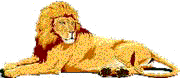 Gif animé lion couché